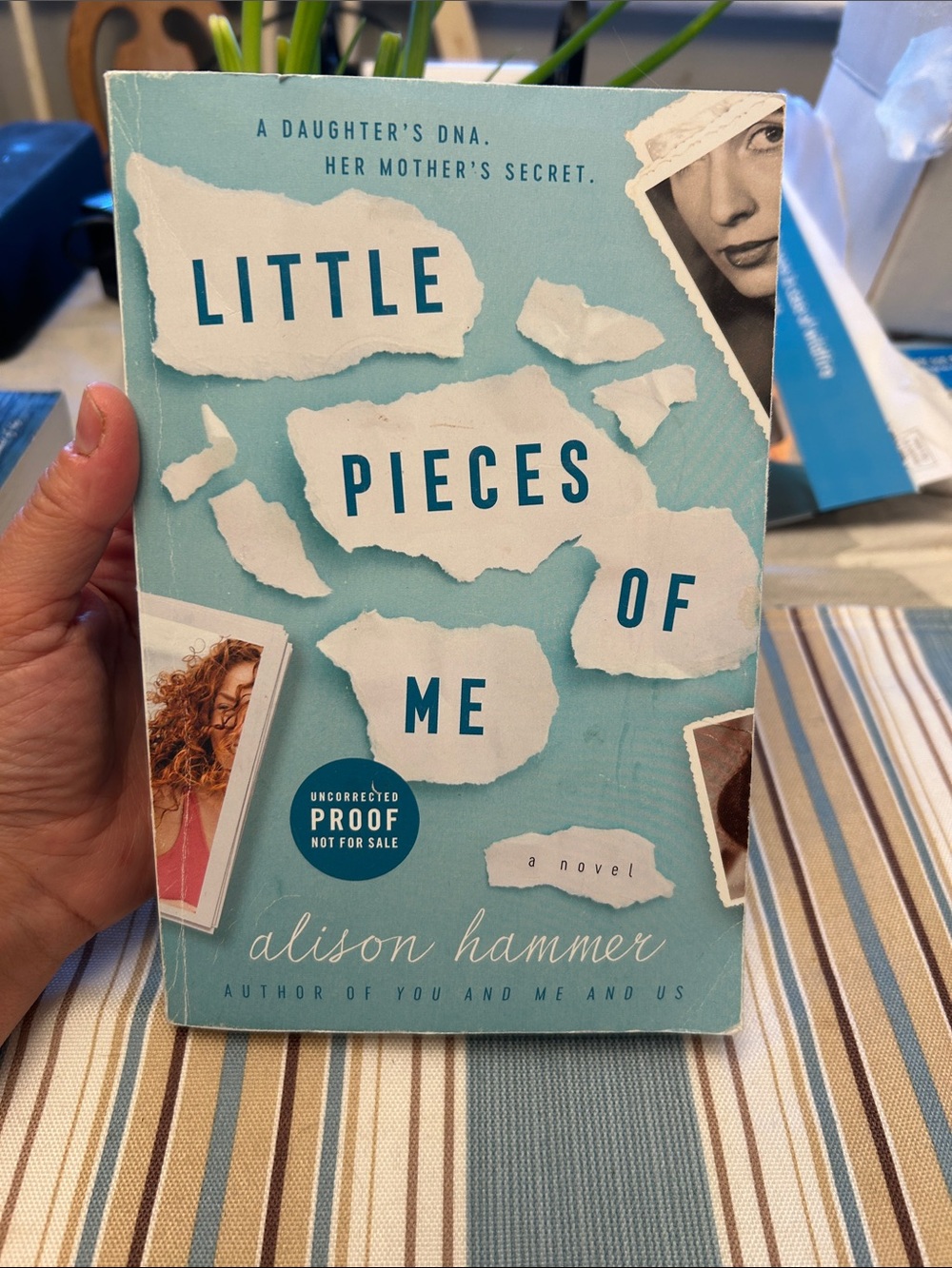 Little Pieces of Me by Alison Hammer - Teal Cover
